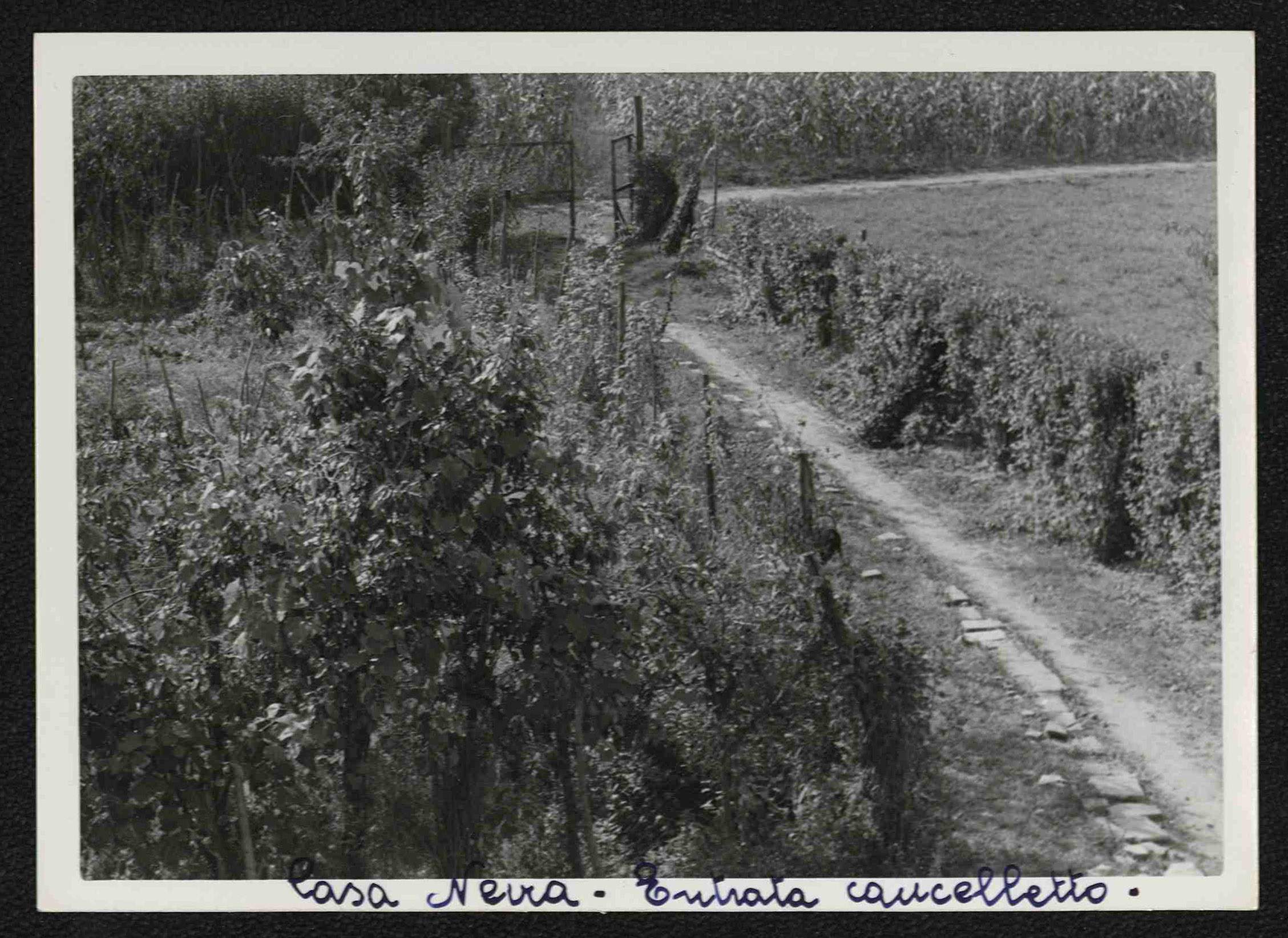 La strada di entrata alla cascina della famiglia Neira