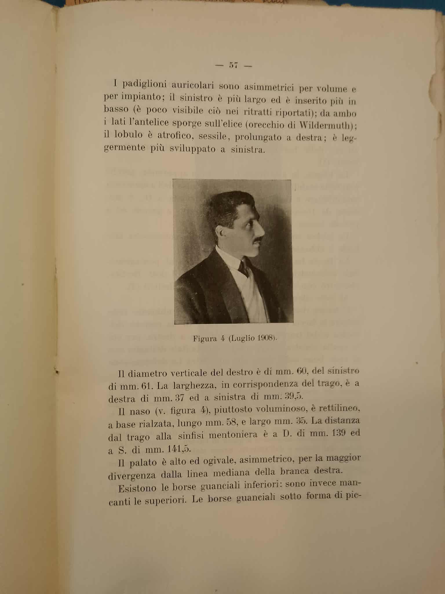 Ritratto di profilo di Guido Casale