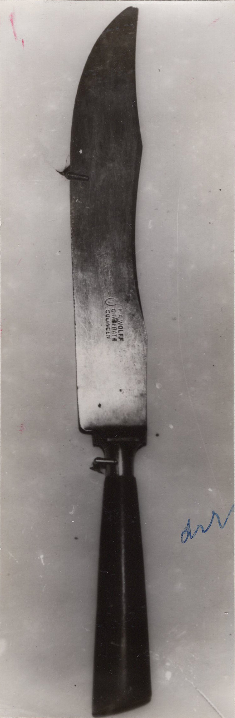 1945_genova_genova_ASge_assise_fascicolo381_046_det1