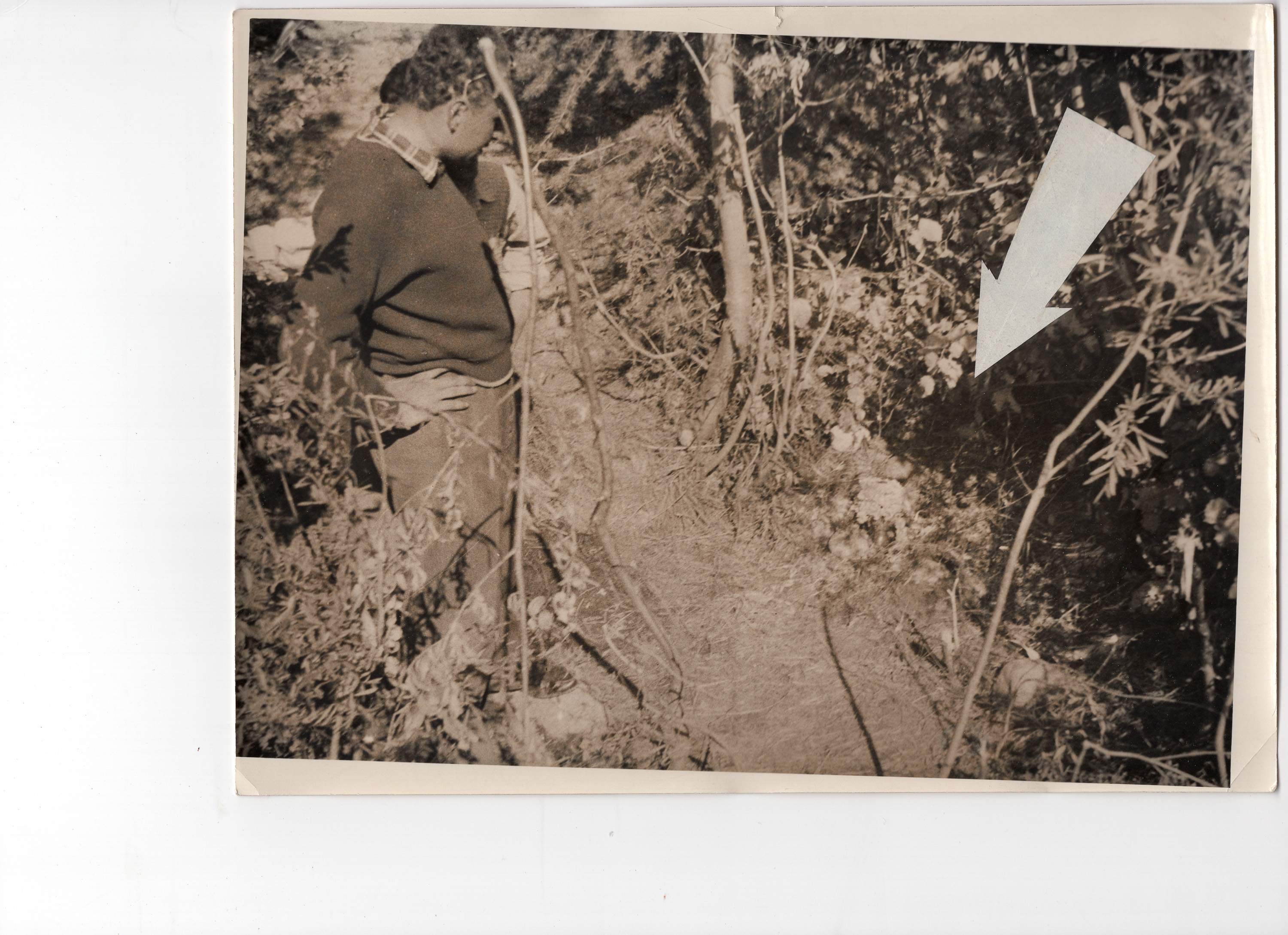 1953_aosta_chiabodo_GDP-sezII-1291A_019nc