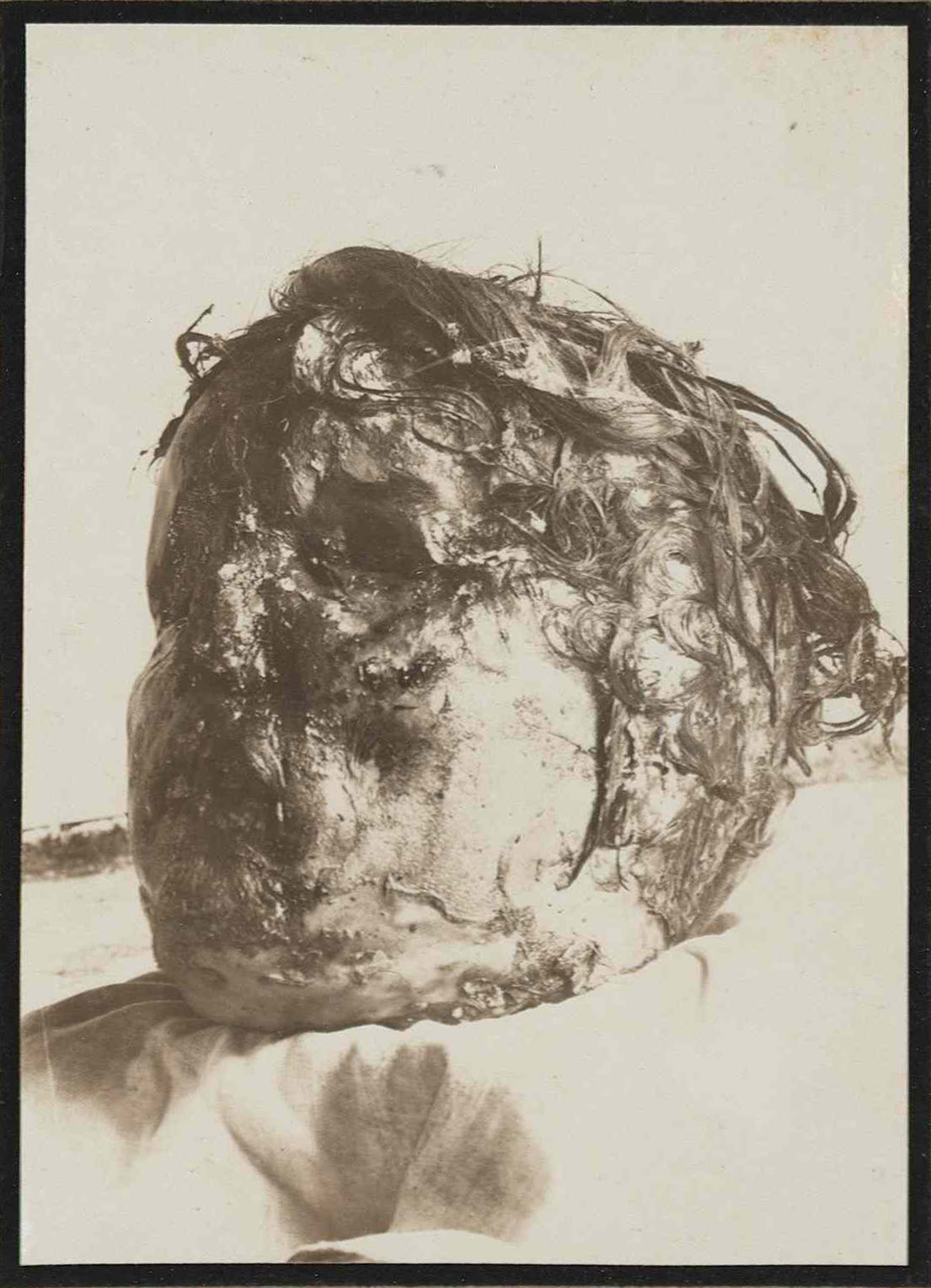 1925_torino_cattaneo_asto_mazzo90_061a_det