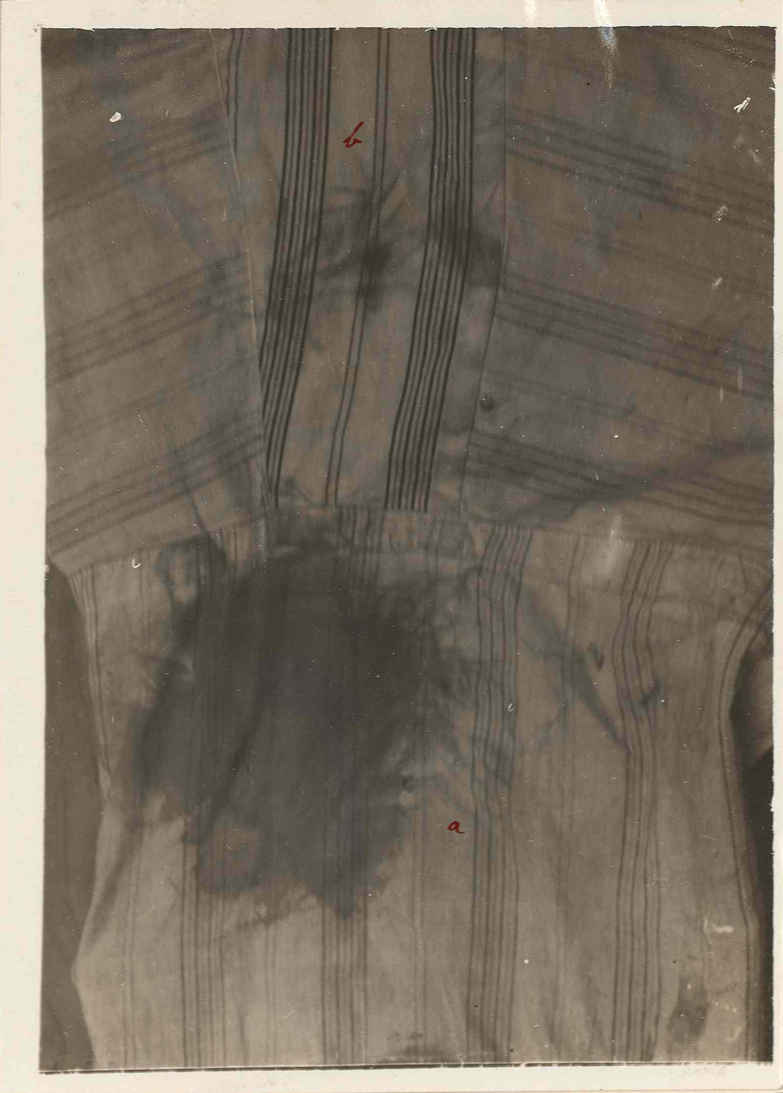 1925_torino_cattaneo_asto_mazzo90_006a