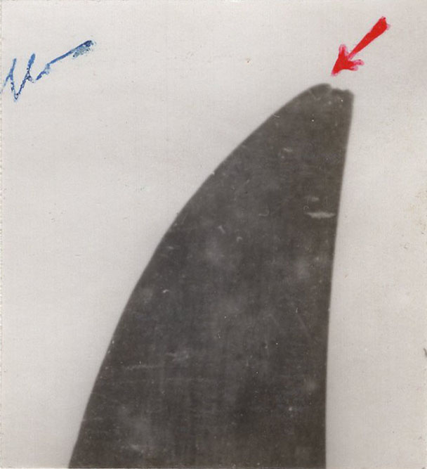 1945_genova_genova_ASge_assise_fascicolo381_046_det3