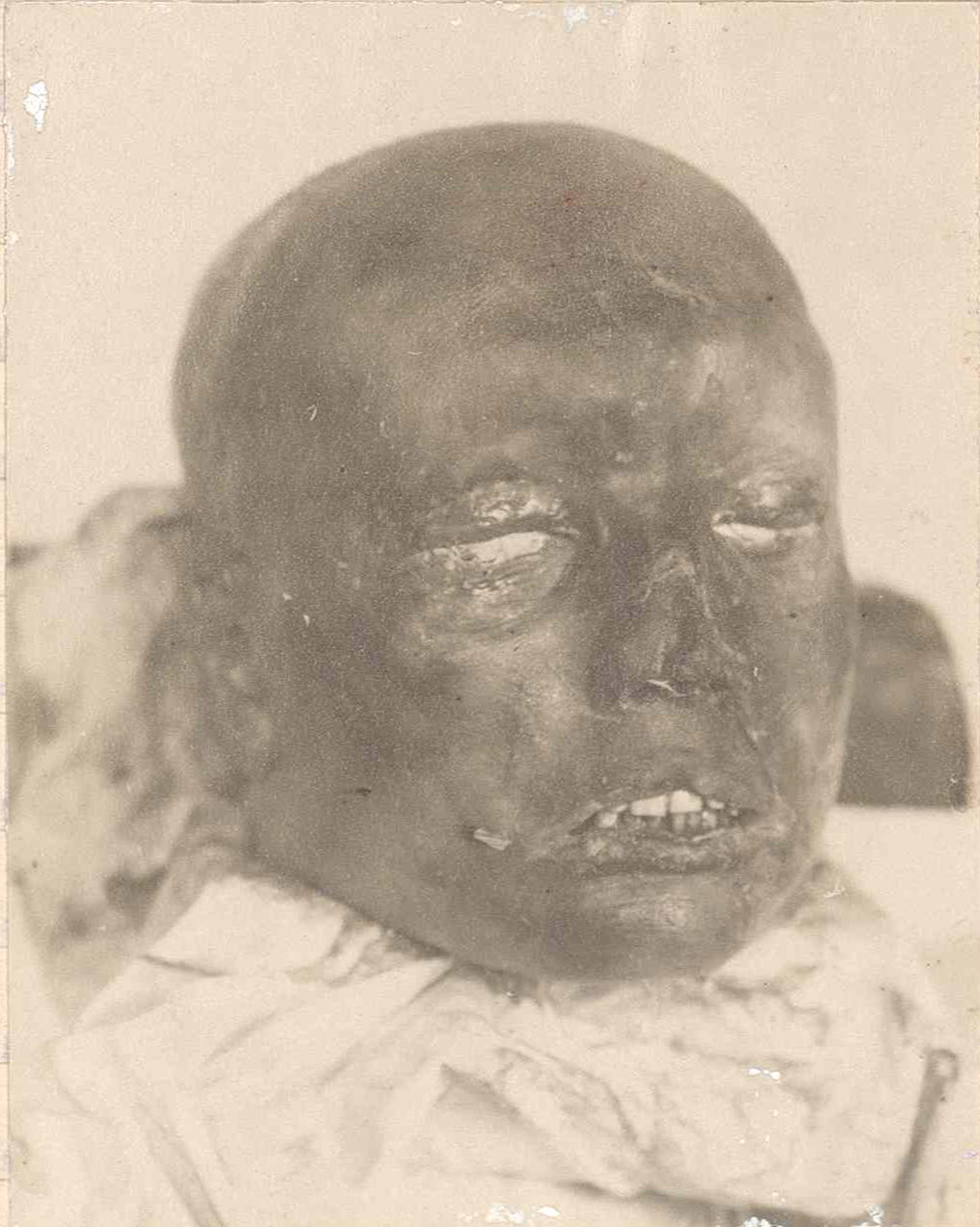 1925_torino_cattaneo_asto_mazzo90_035a_det_1