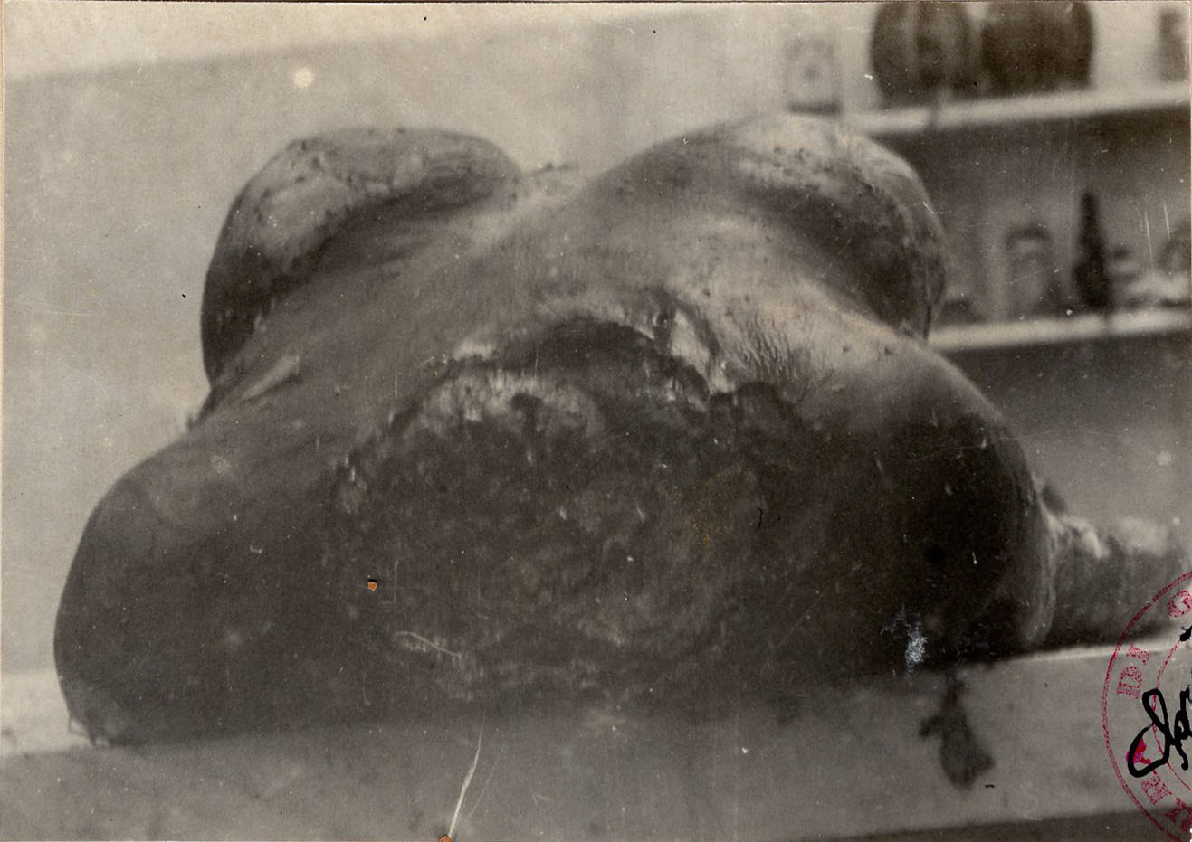 1945_genova_genova_ASge_assise_fascicolo381_018_det1