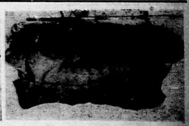 1945_genova_genova_secolo_xix_21_dicembre_b