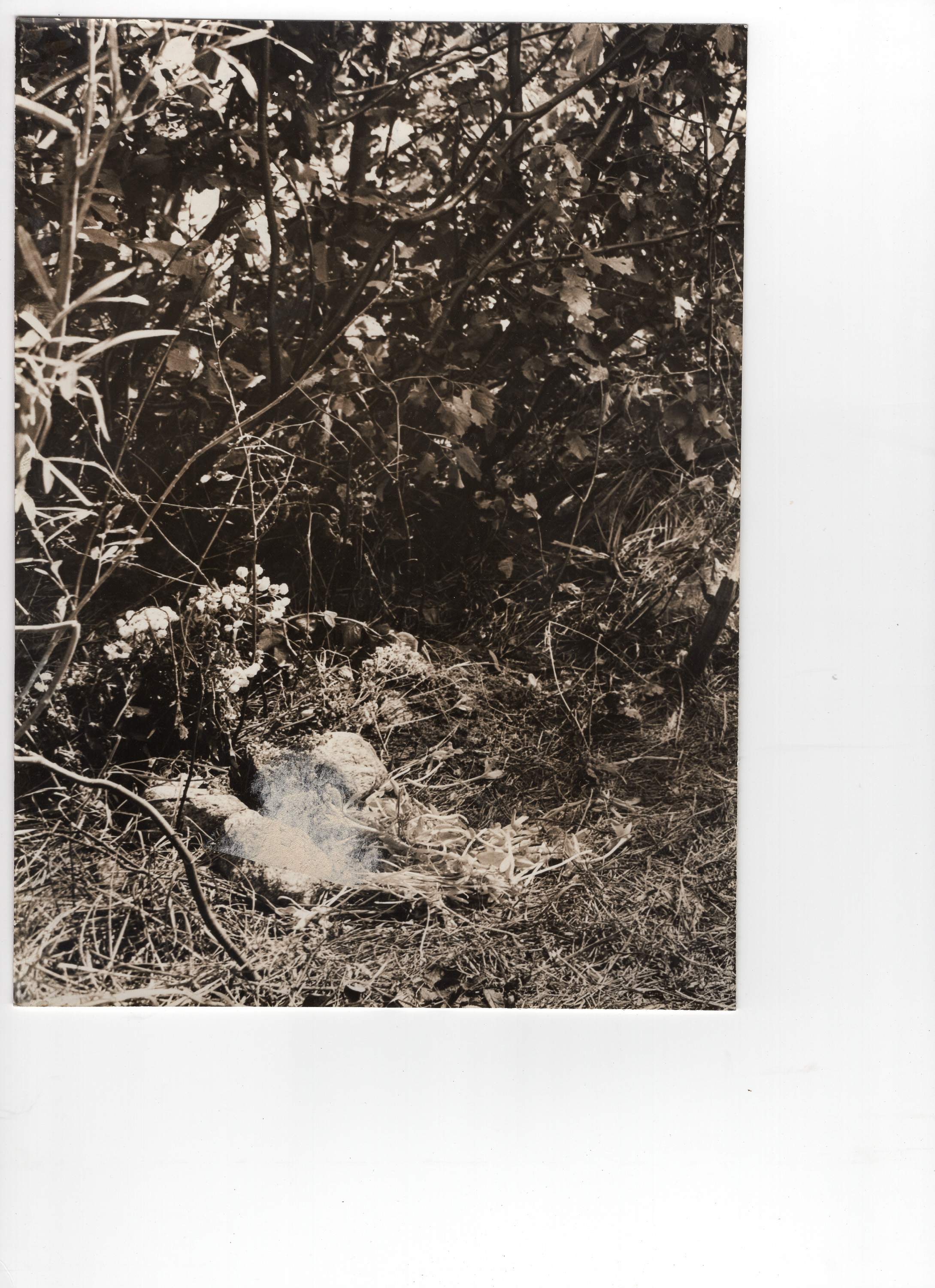 1953_aosta_chiabodo_GDP-sezII-1290_018nc