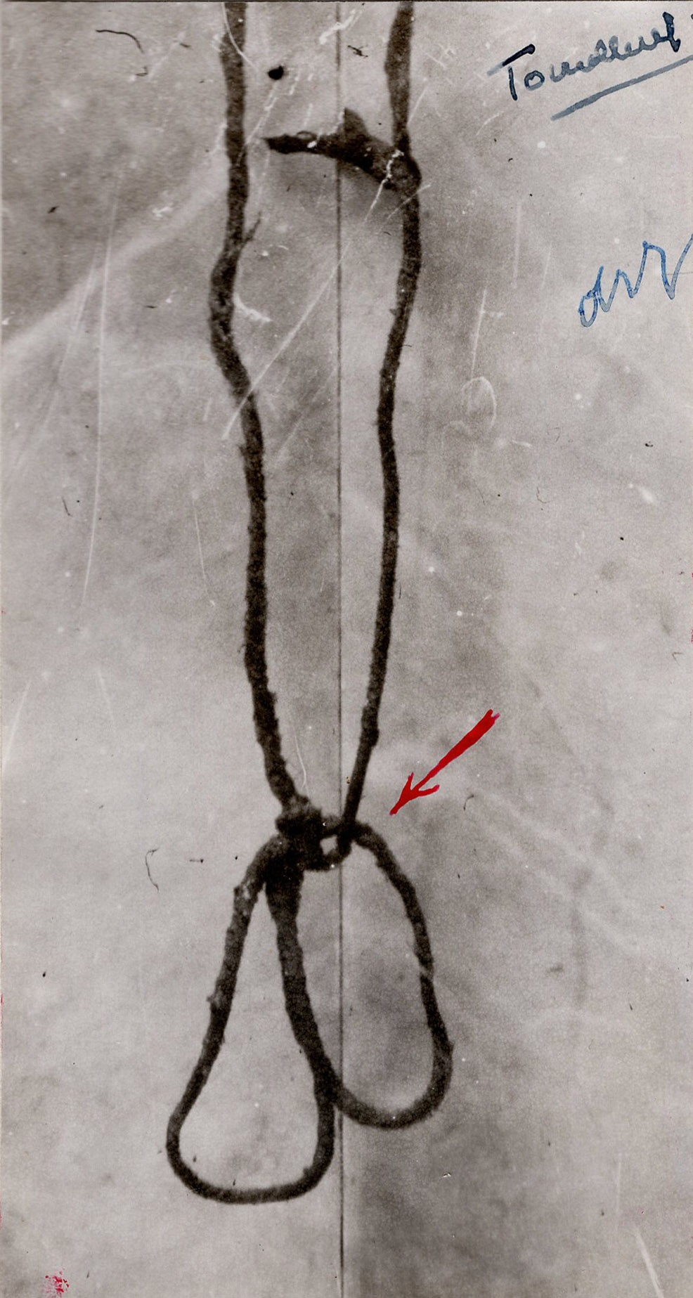 1945_genova_genova_ASge_assise_fascicolo381_043_det