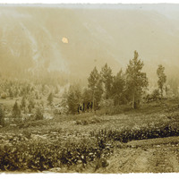 Ricostruzione del crimine secondo le testimonianze delle testi e della vittima