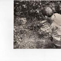 Il luogo dove fu trovato il cadavere di Angela Cavallero