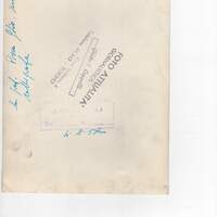 Piera Filo  [?], perita calligrafa, al processo Faletto