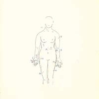 Genova Icardi Tribunale di Genova fasc 177- 58