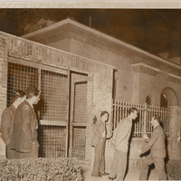 La villetta dell'ingegner Codecà