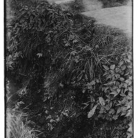 Il canale di scolo nei pressi di Aosta dove è stato ritrovato il cadavere