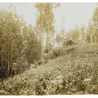 Ricostruzione del crimine secondo le testimonianze delle testi e della vittima