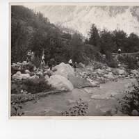 Il boschetto dove venne assassinata Angela Cavallero