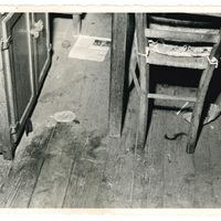 Dettaglio della cucina di Angela Romele dove si è svolto il crimine