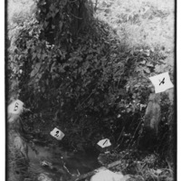 Il canale di scolo nei pressi di Aosta dove è stato ritrovato il cadavere di Gabriele Jans Savy