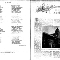 La storia di Musolino