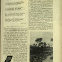 Sei immagini relative all'arresto di Musolino