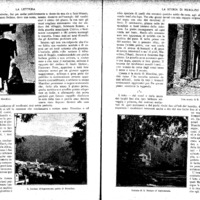 La storia di Musolino