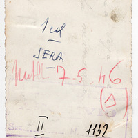 La sega e la mannaia usate nei delitti