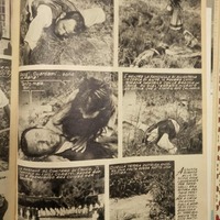 Fotoromanzo agiografico su Santa Maria Goretti