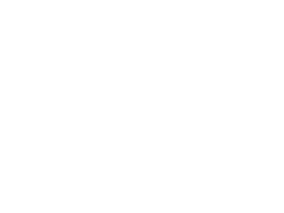 Università di Bologna logo