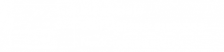 Finanziato dall'Unione Europea logo