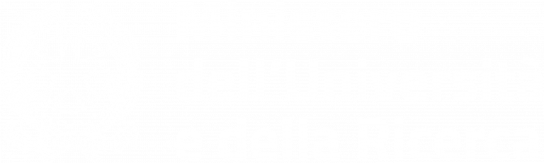 Ministero dell'Università e della Ricerca logo